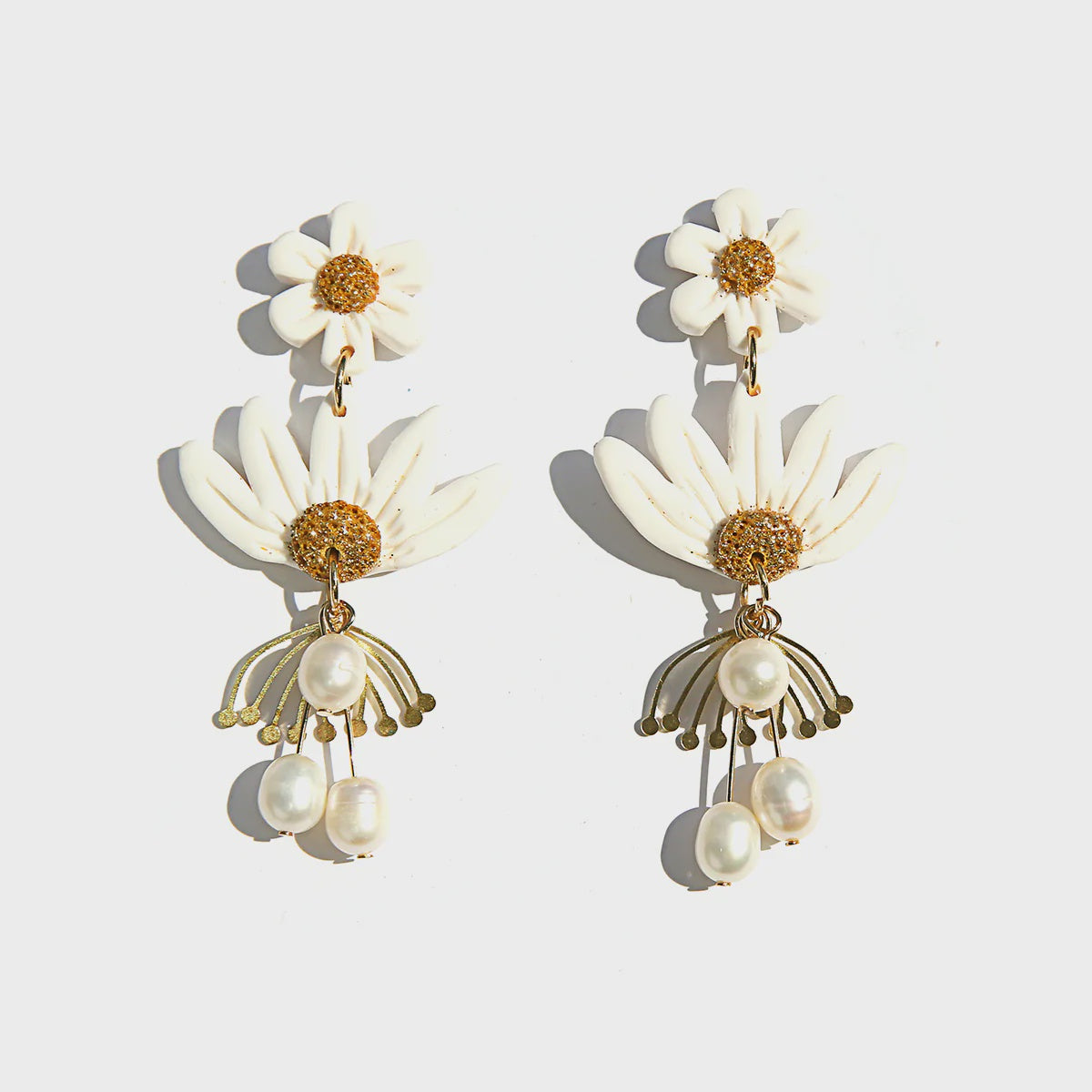 White Daisy Blossoms