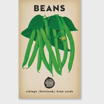 Bean &
