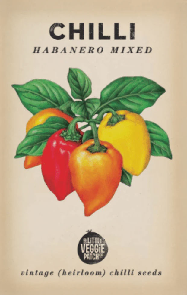 Chilli &