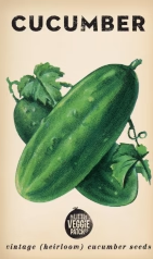 Cucumber &