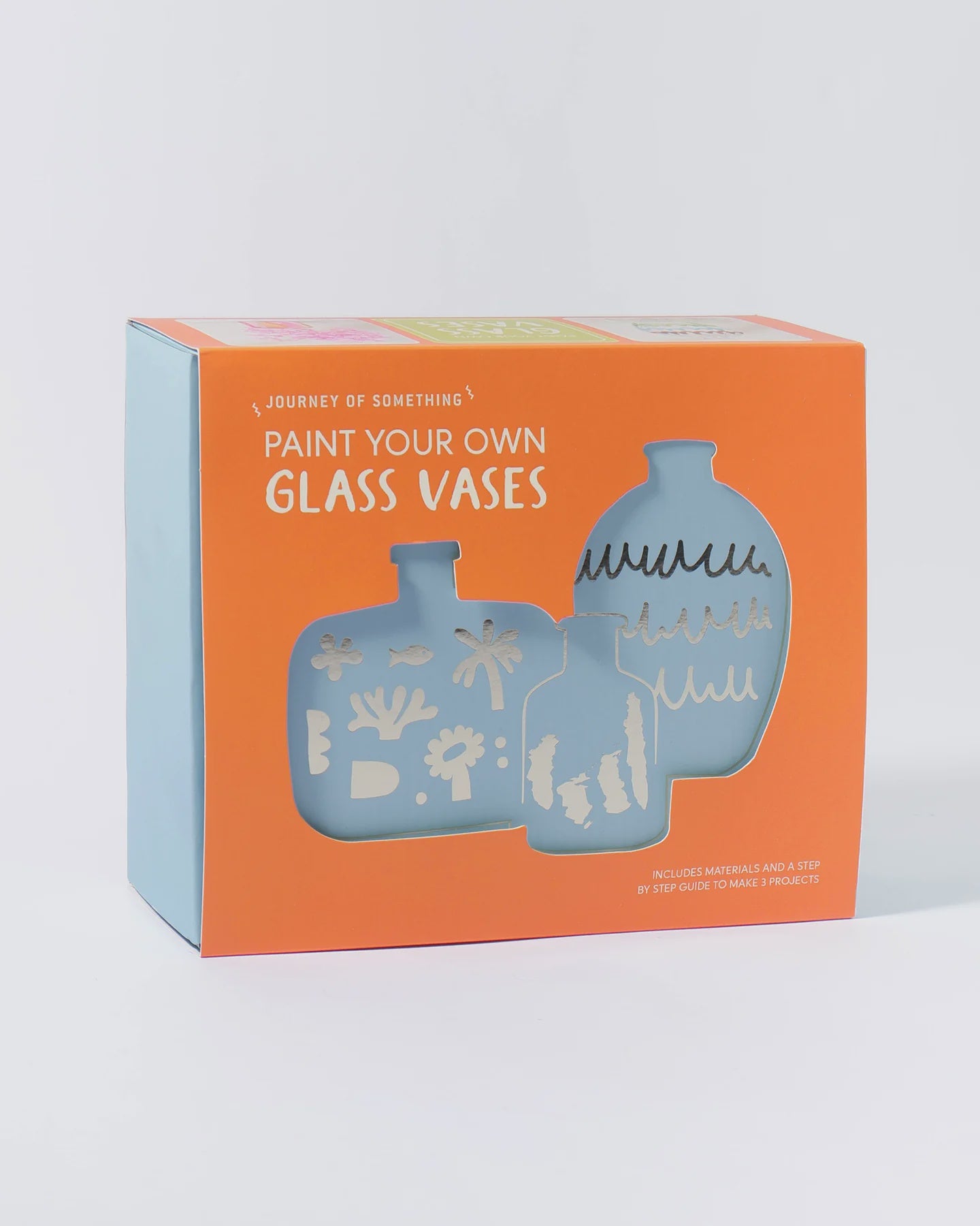 Paint Your Own Glass Vases Kit