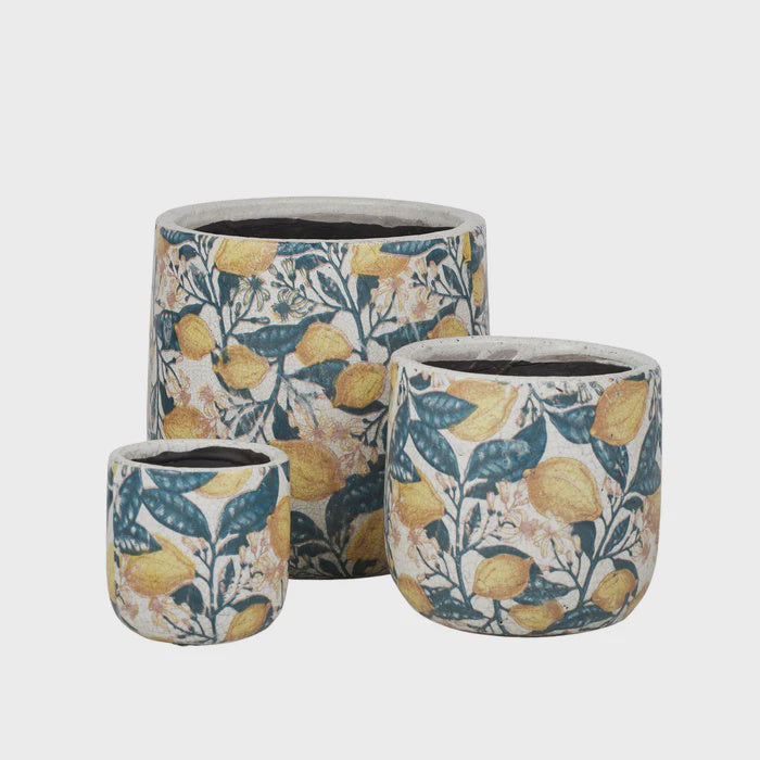 Limones Ceramic Pot
