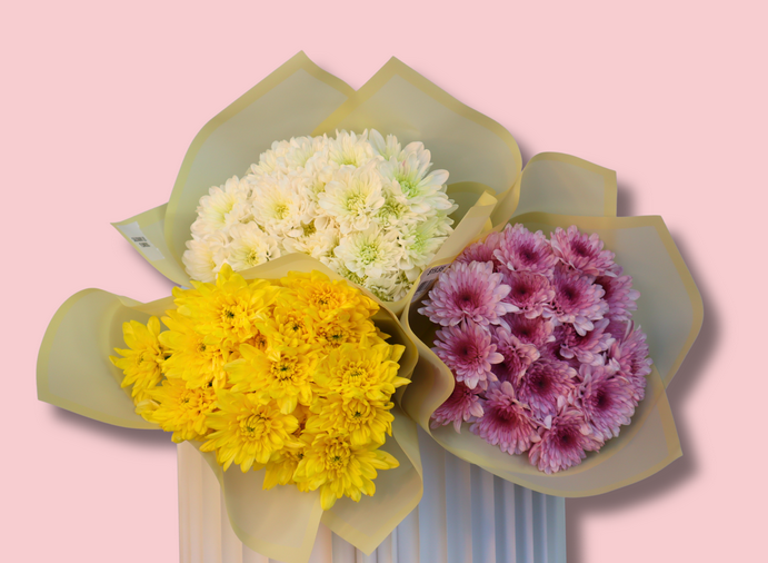Mixed Chrysanthemum Bouqet
