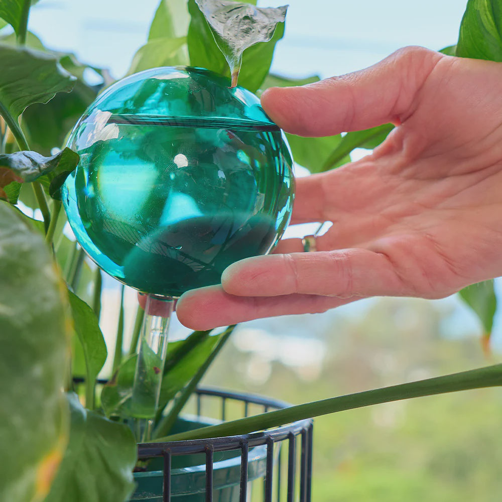 Plant Waterers - Pink & Green Globes