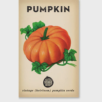 Pumpkin &