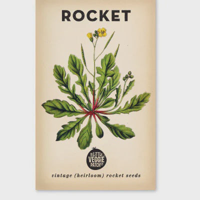 Rocket &