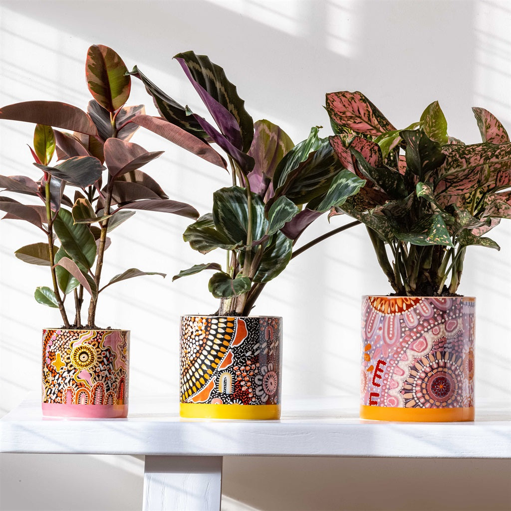 Lalaland Pot Planter