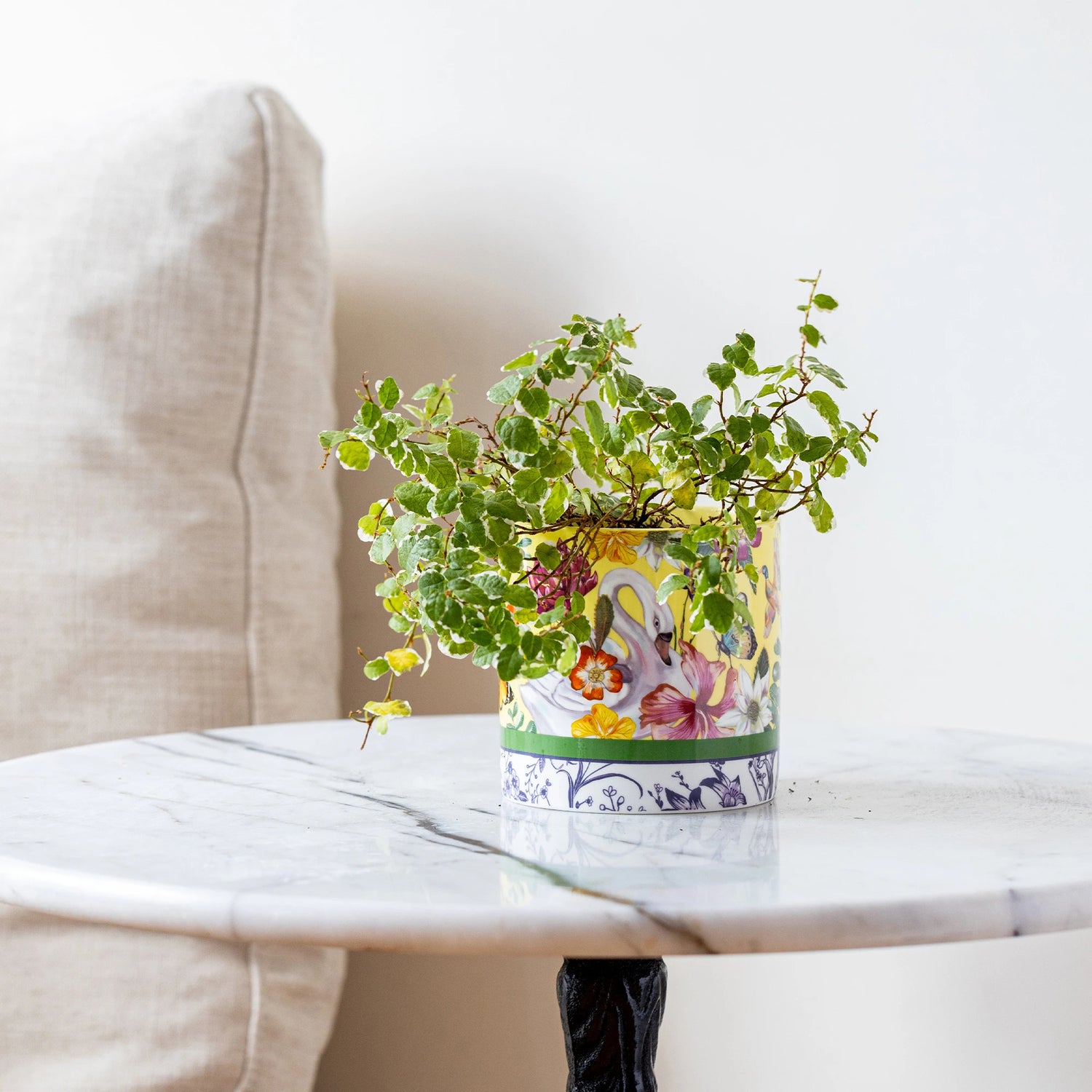 Lalaland Pot Planter