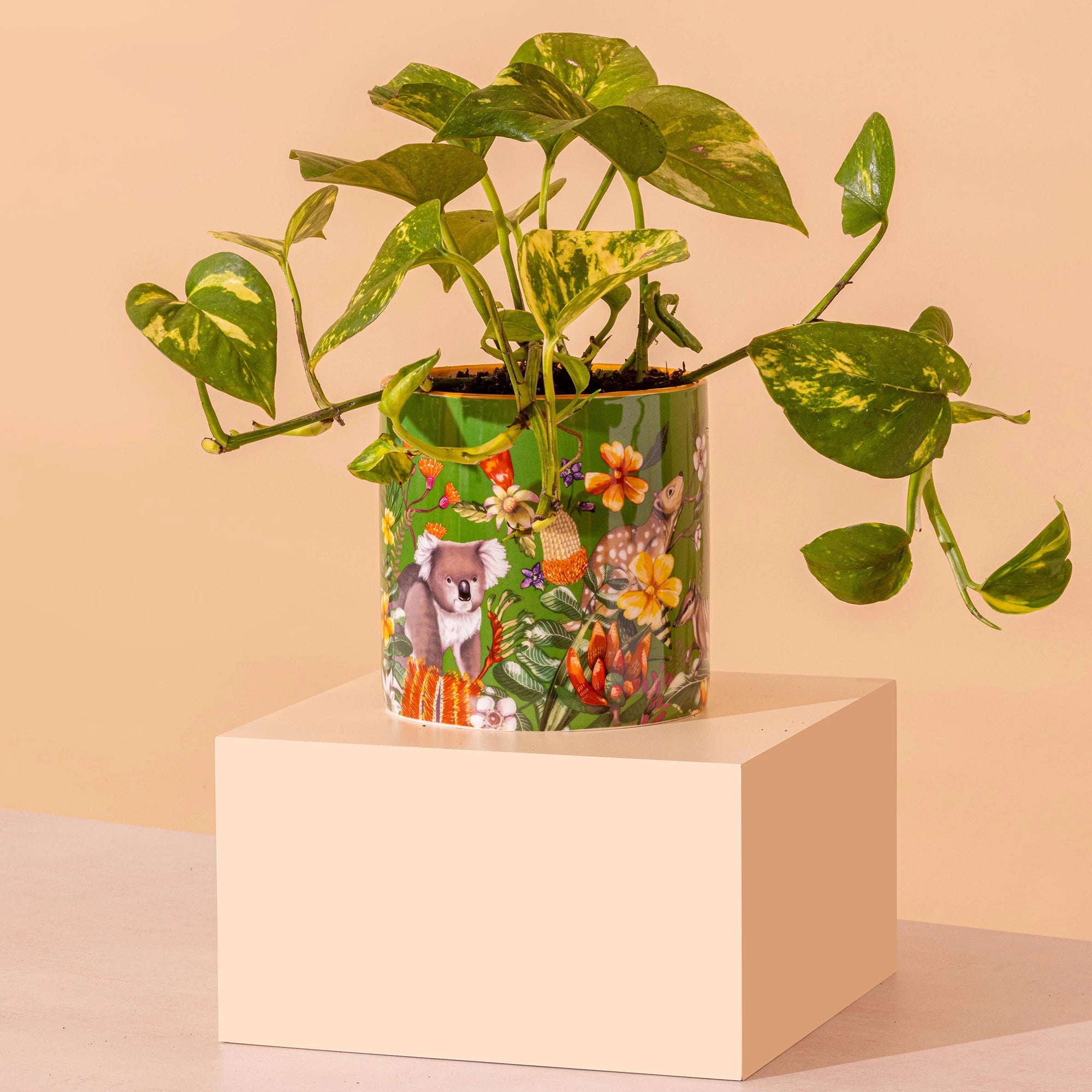 Lalaland Pot Planter
