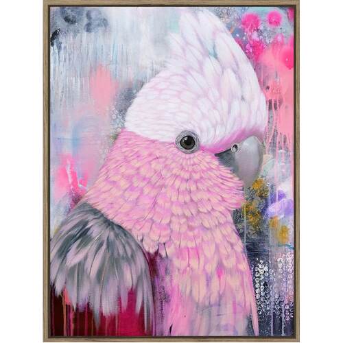 Abstract Galah Framed Canvas Print 90x120cm