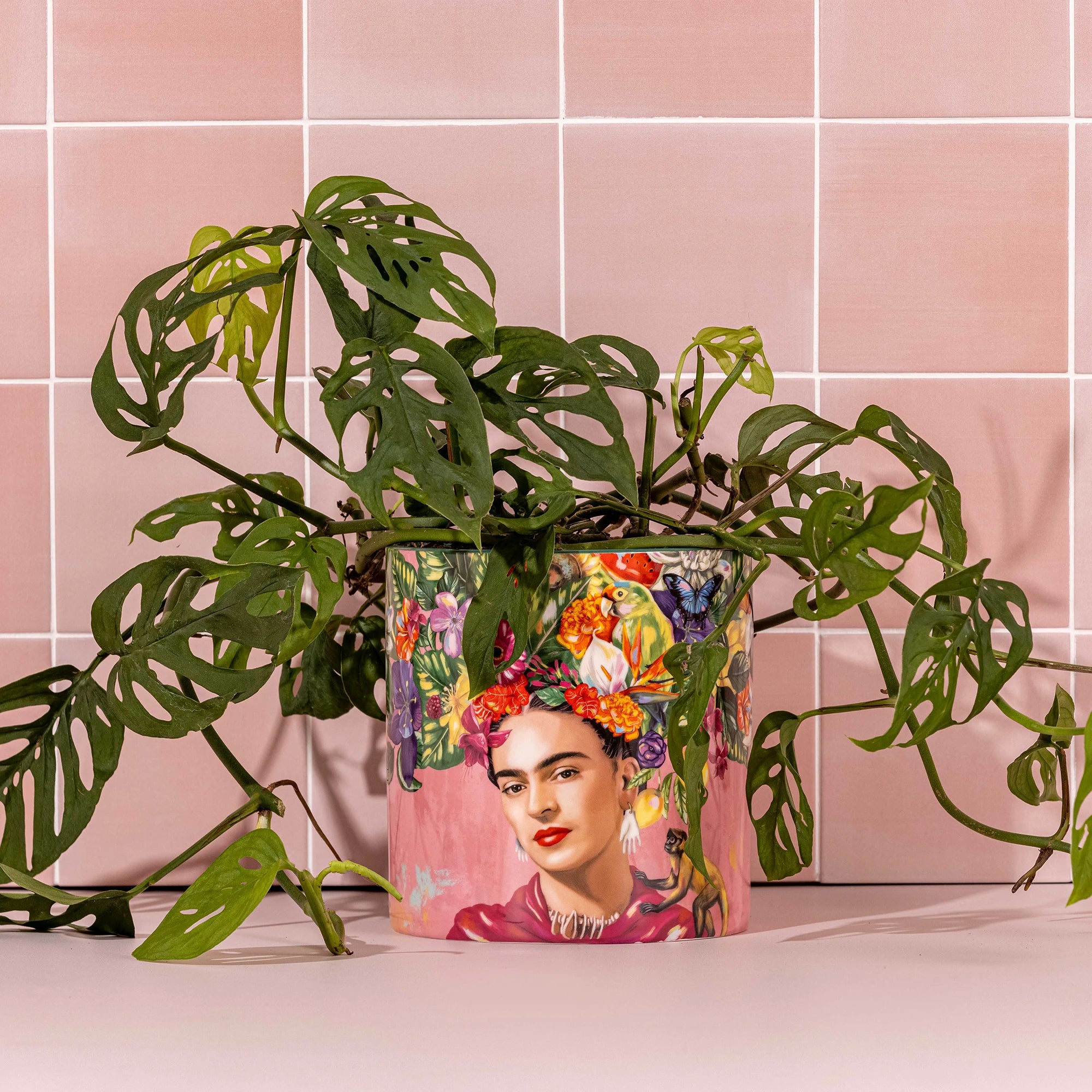 Lalaland Pot Planter