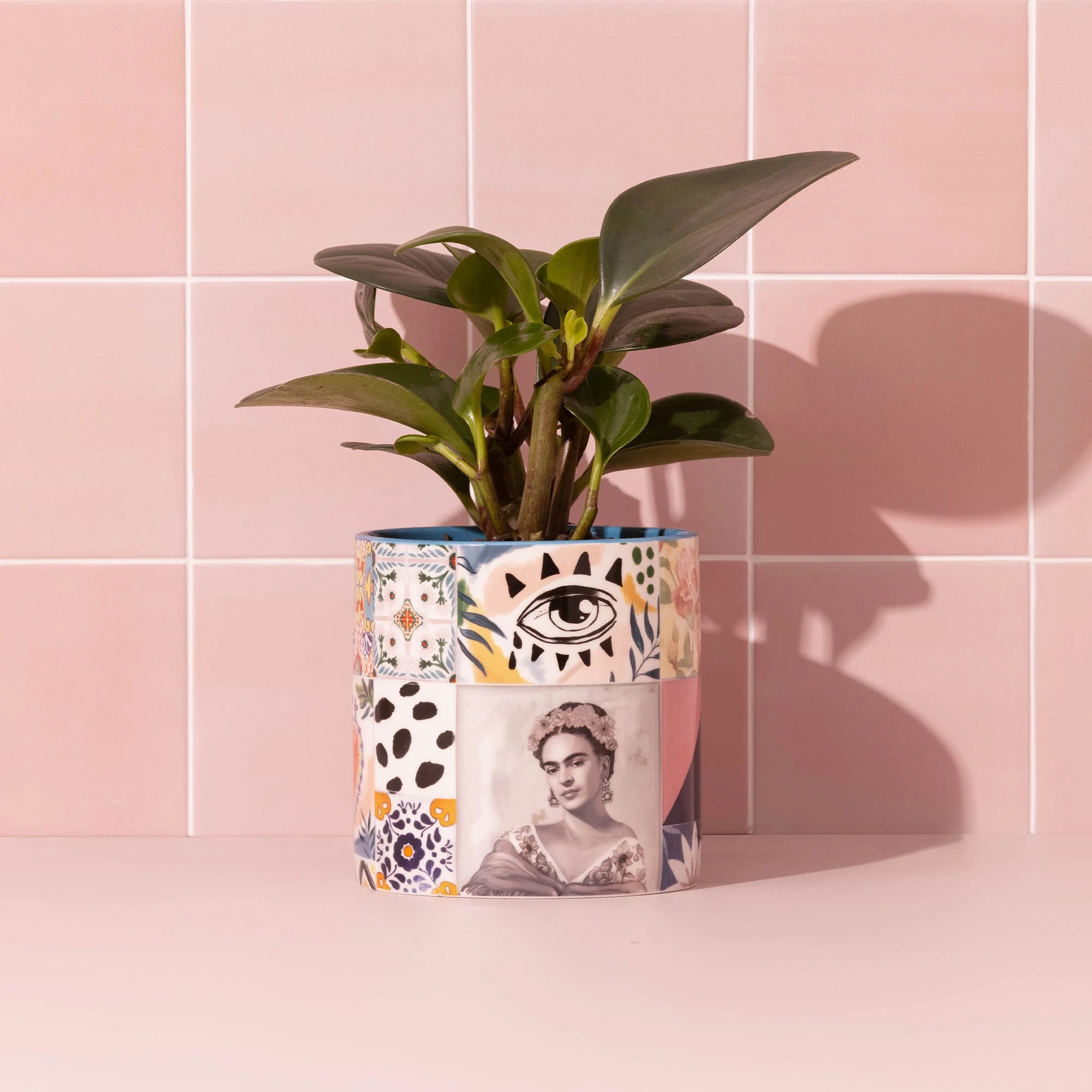 Lalaland Pot Planter