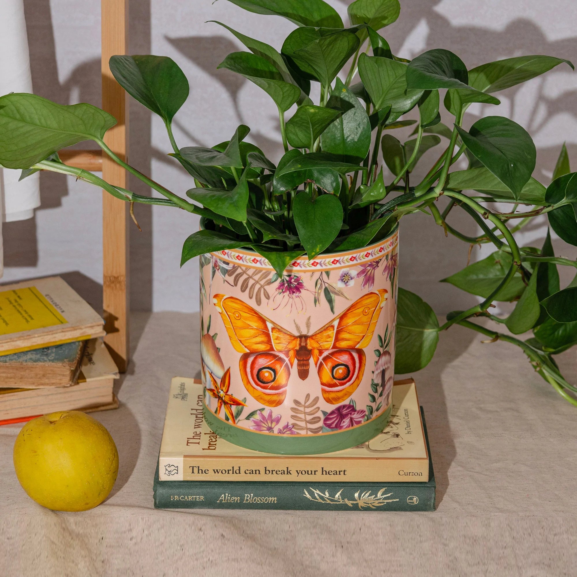 Lalaland Pot Planter