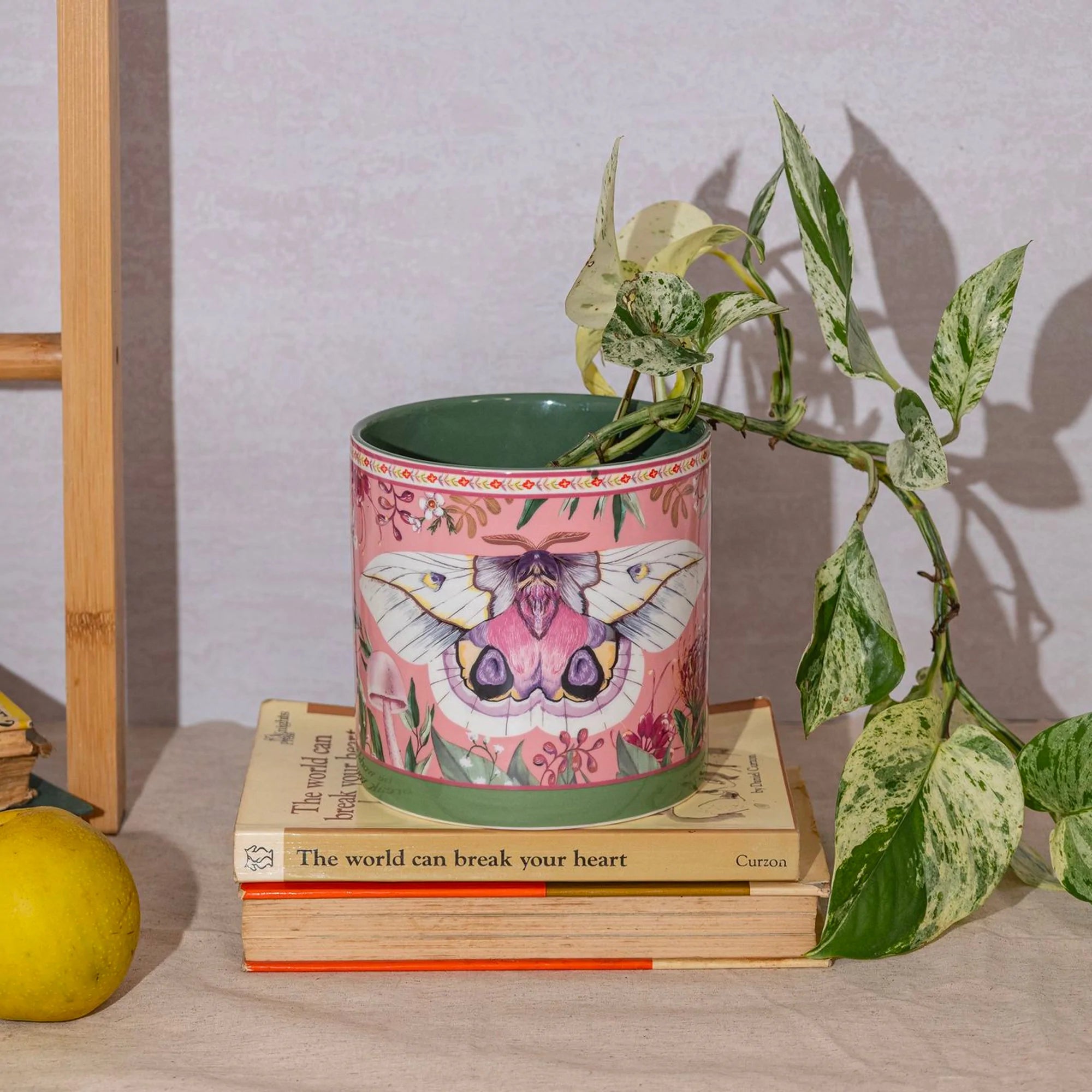 Lalaland Pot Planter
