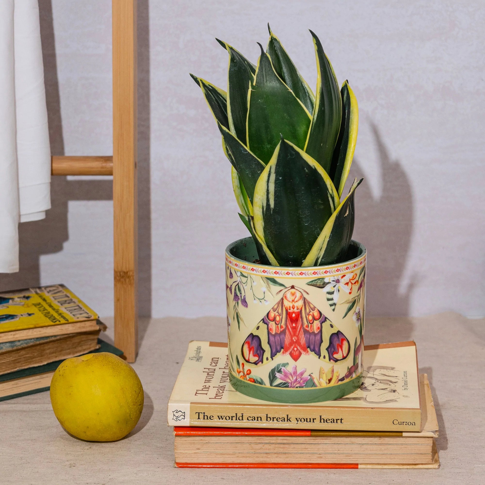 Lalaland Pot Planter