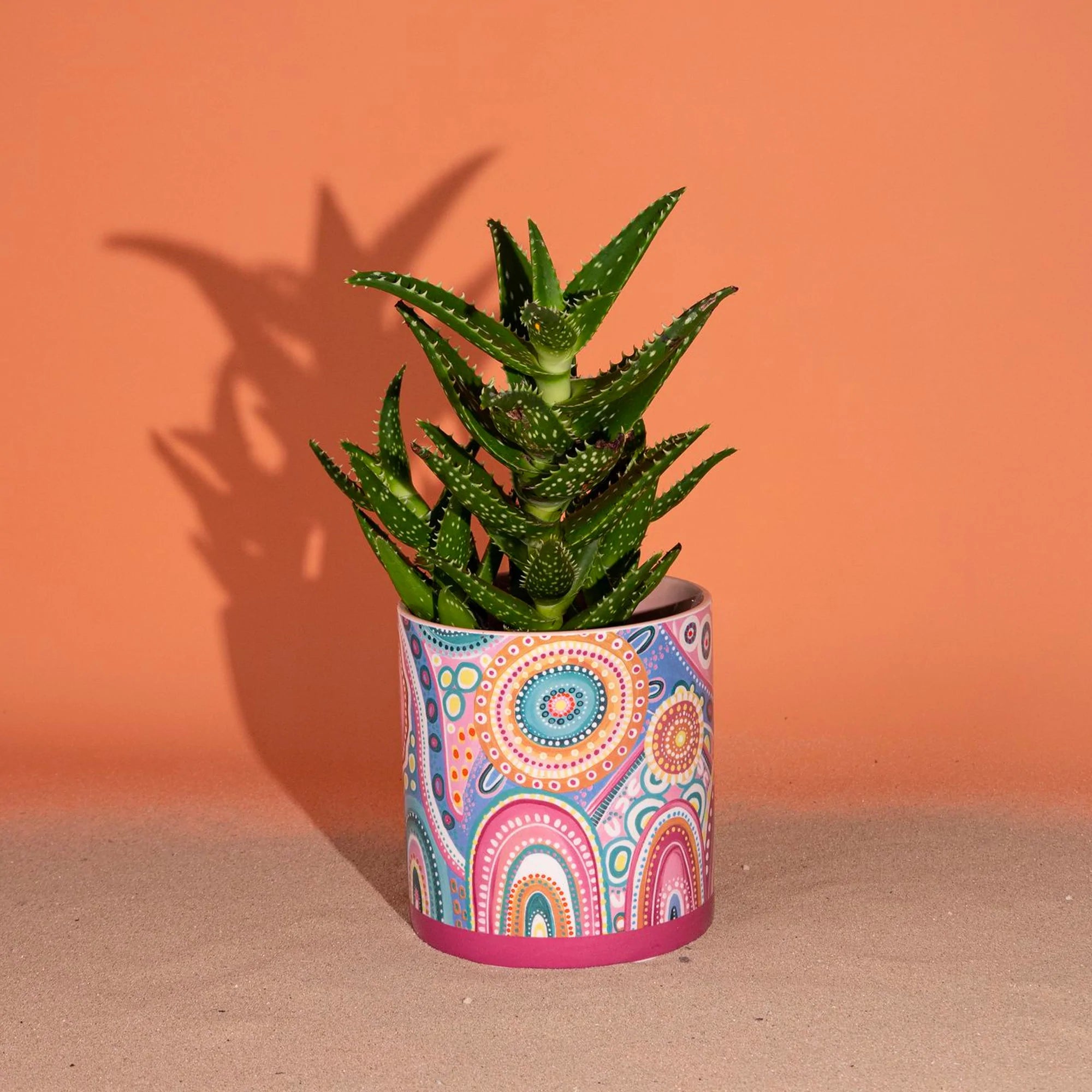 Lalaland Pot Planter