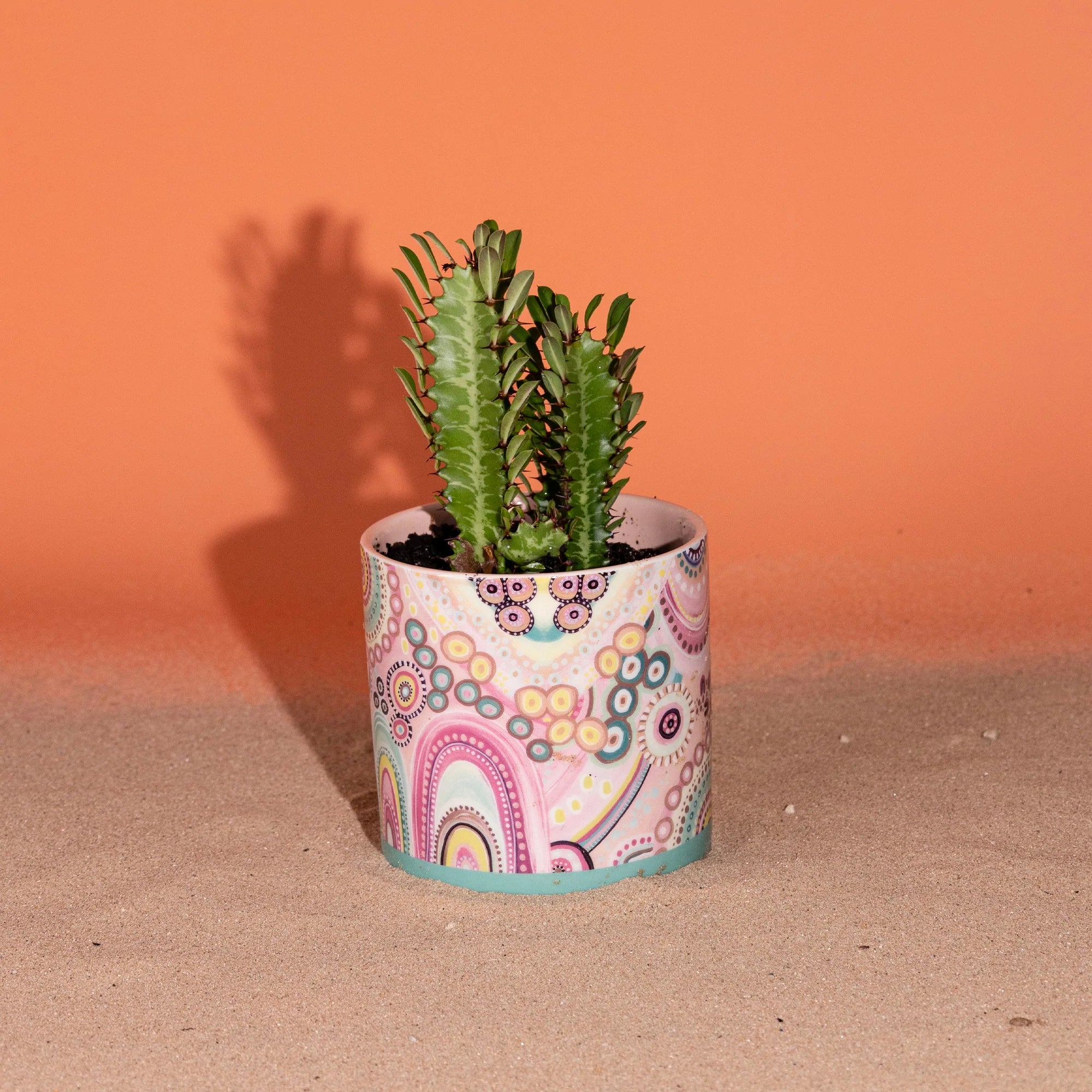 Lalaland Pot Planter