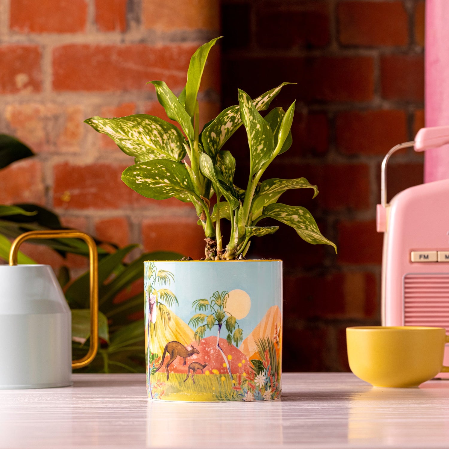 Lalaland Pot Planter