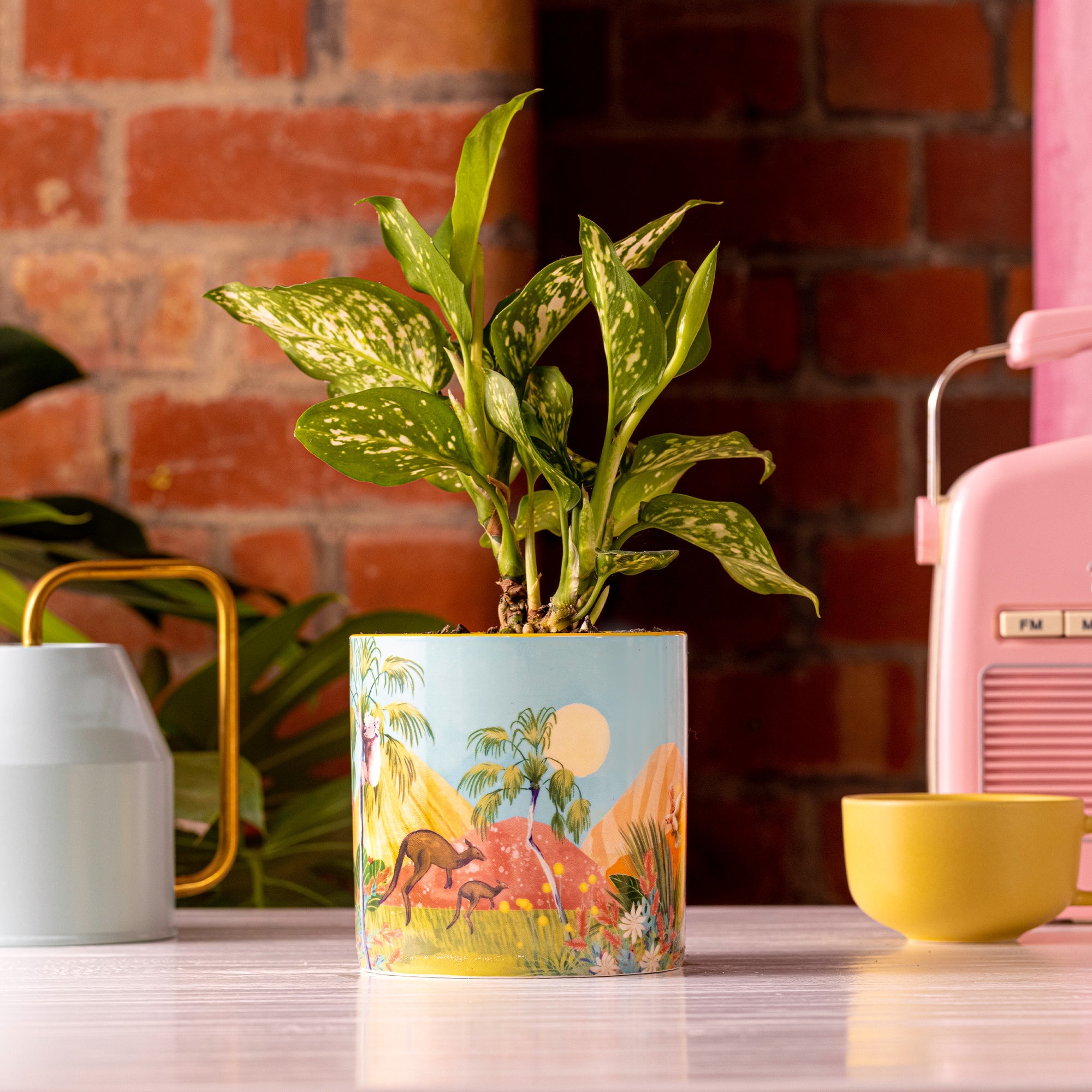 Lalaland Pot Planter