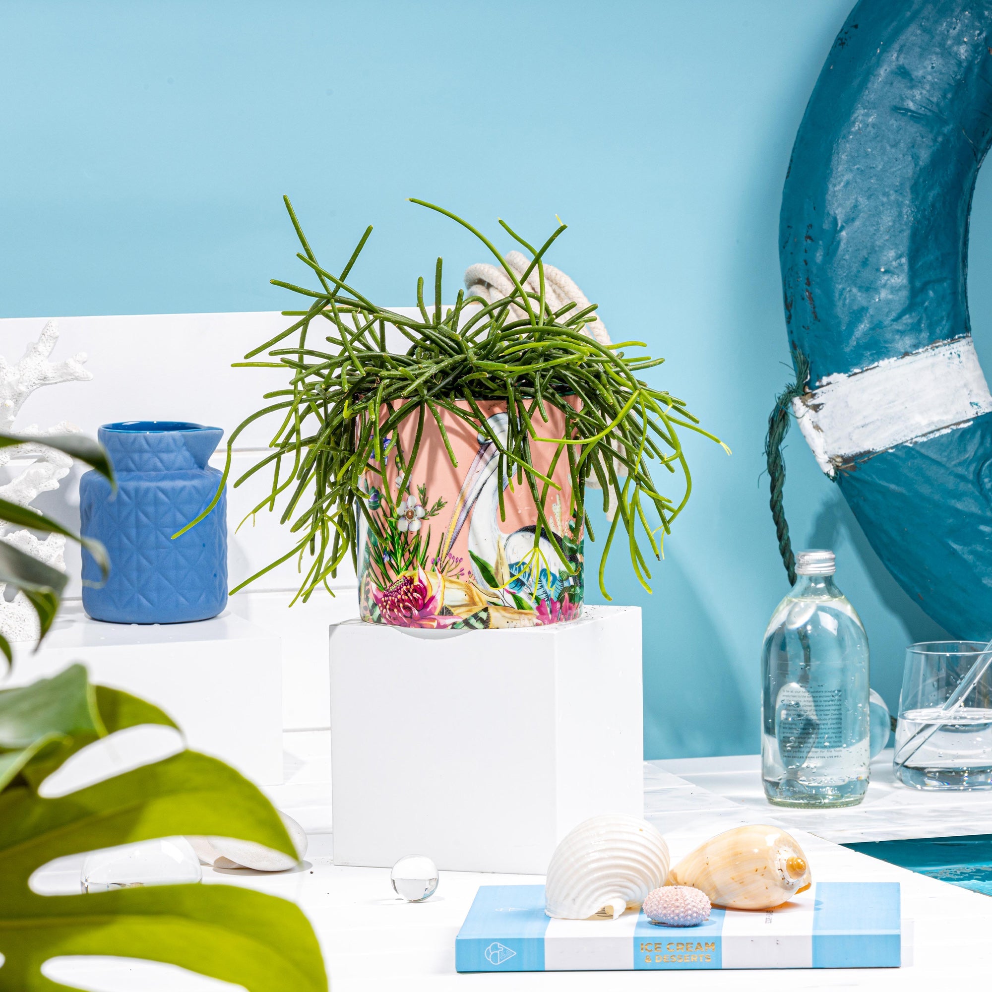 Lalaland Pot Planter