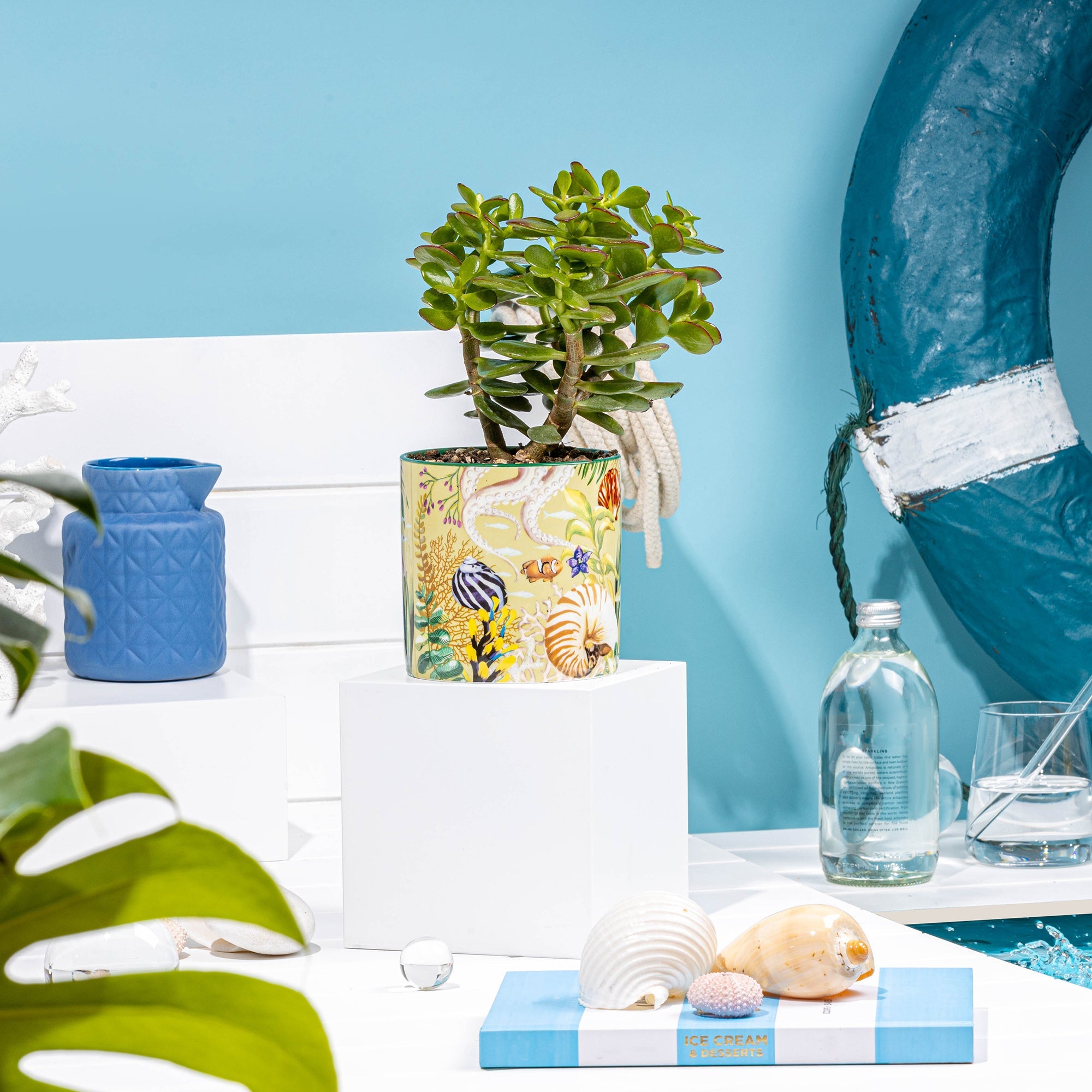 Lalaland Pot Planter