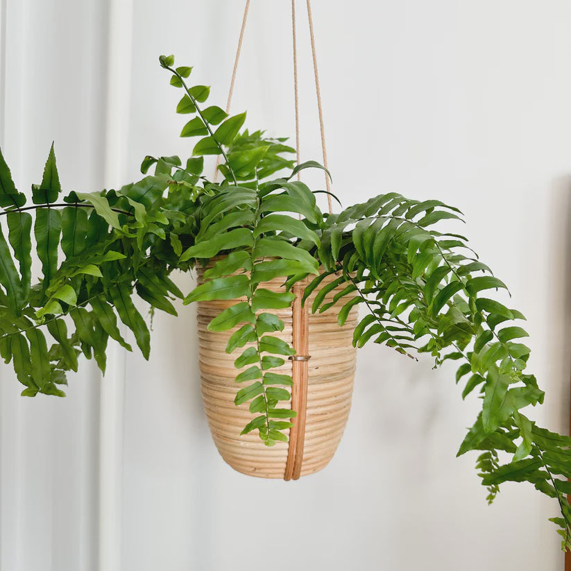 Bea Hanging Planter