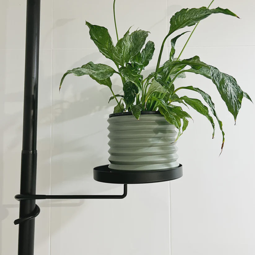 indoor plant pole stand Plant Tension Pole Plant Tray