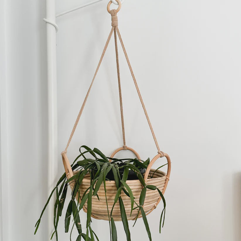 Chloe Rattan Planter