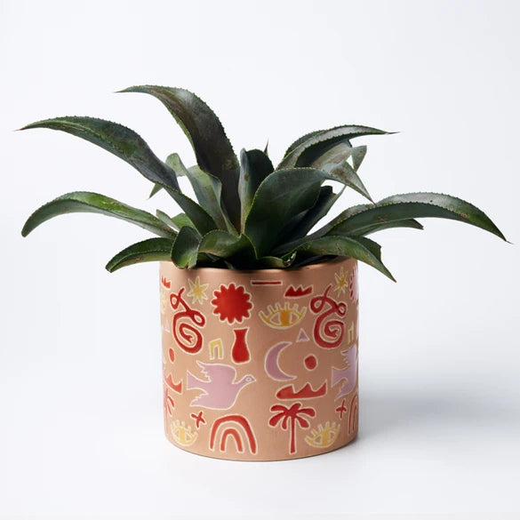 Gypsy Fields Planter Assorted