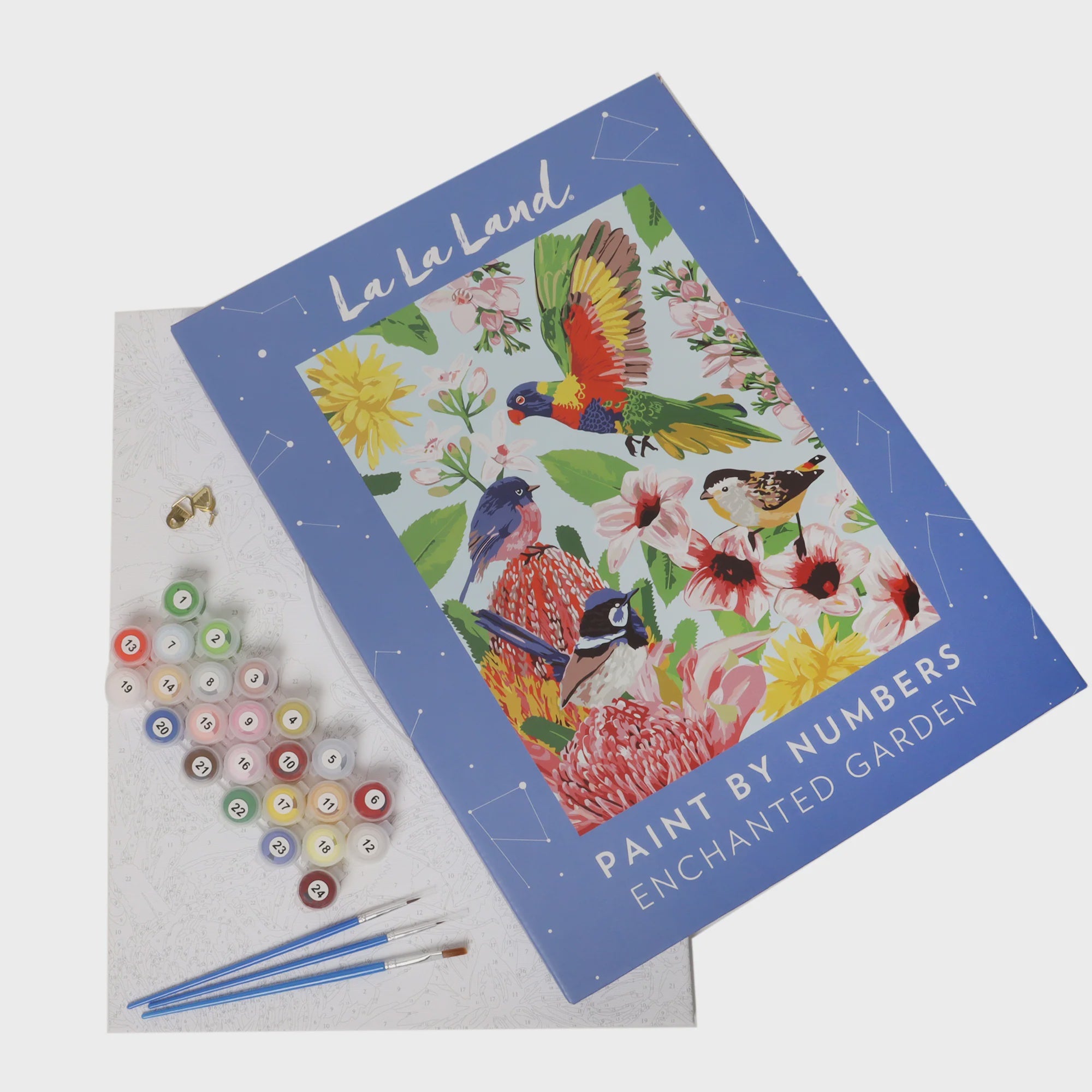 Enchanted Garden Paint By Numbers