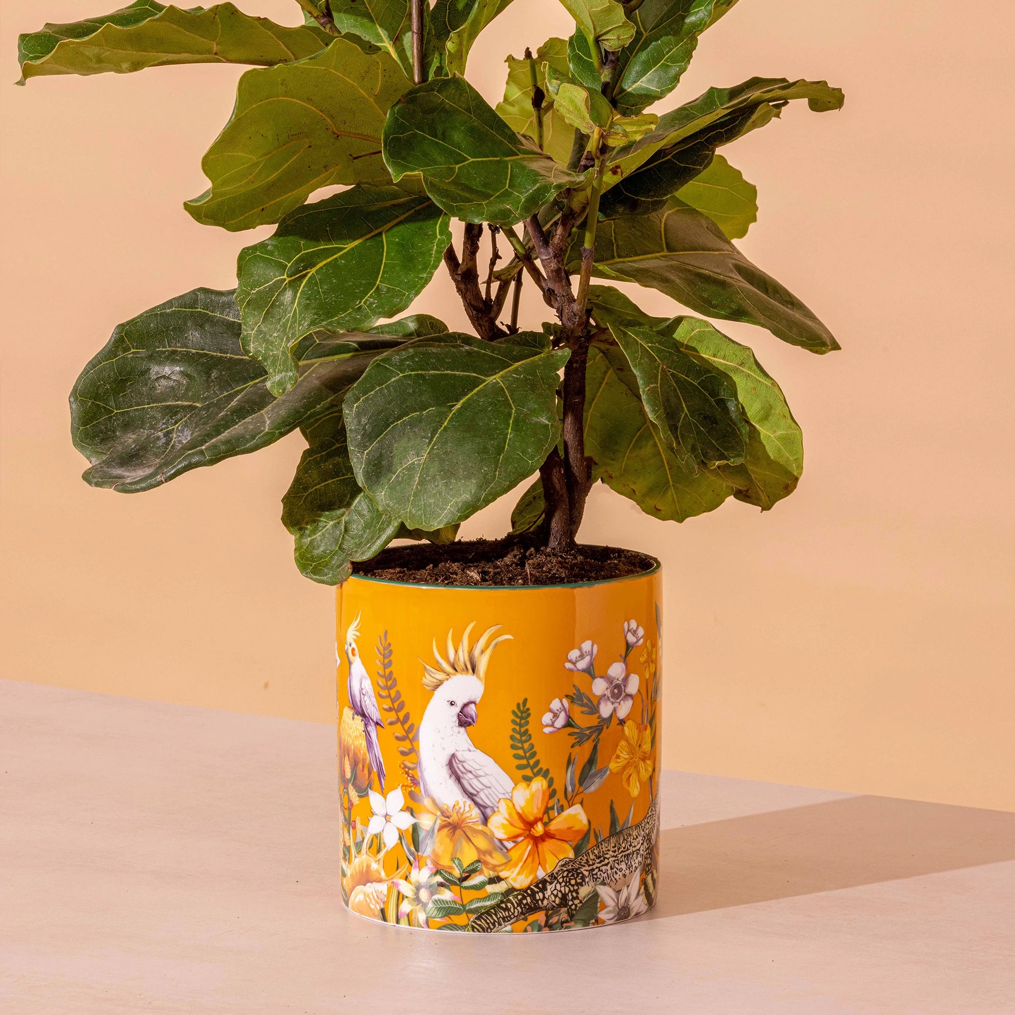 Lalaland Pot Planter