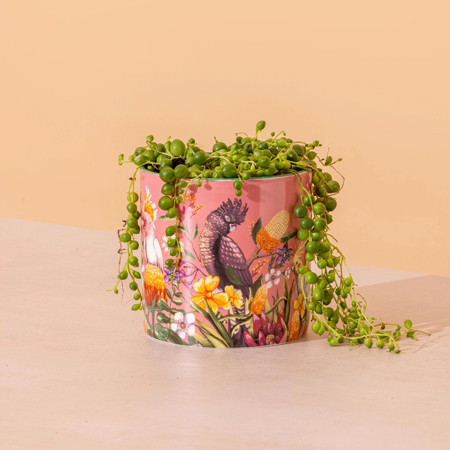 Lalaland Pot Planter