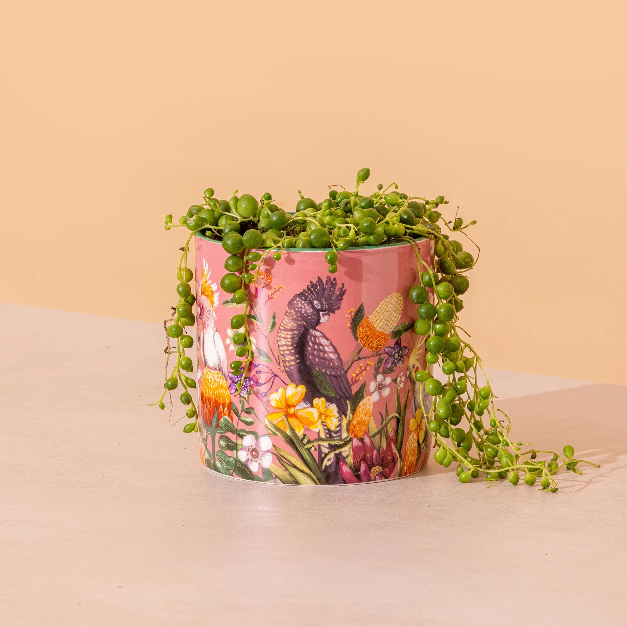Lalaland Pot Planter