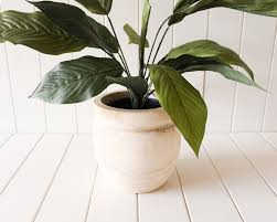 Timber Tamati Pot Planter