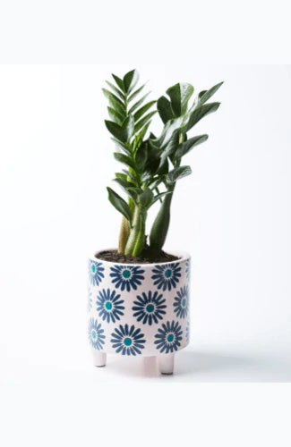 Jones & Co Liberty Pot - Pink