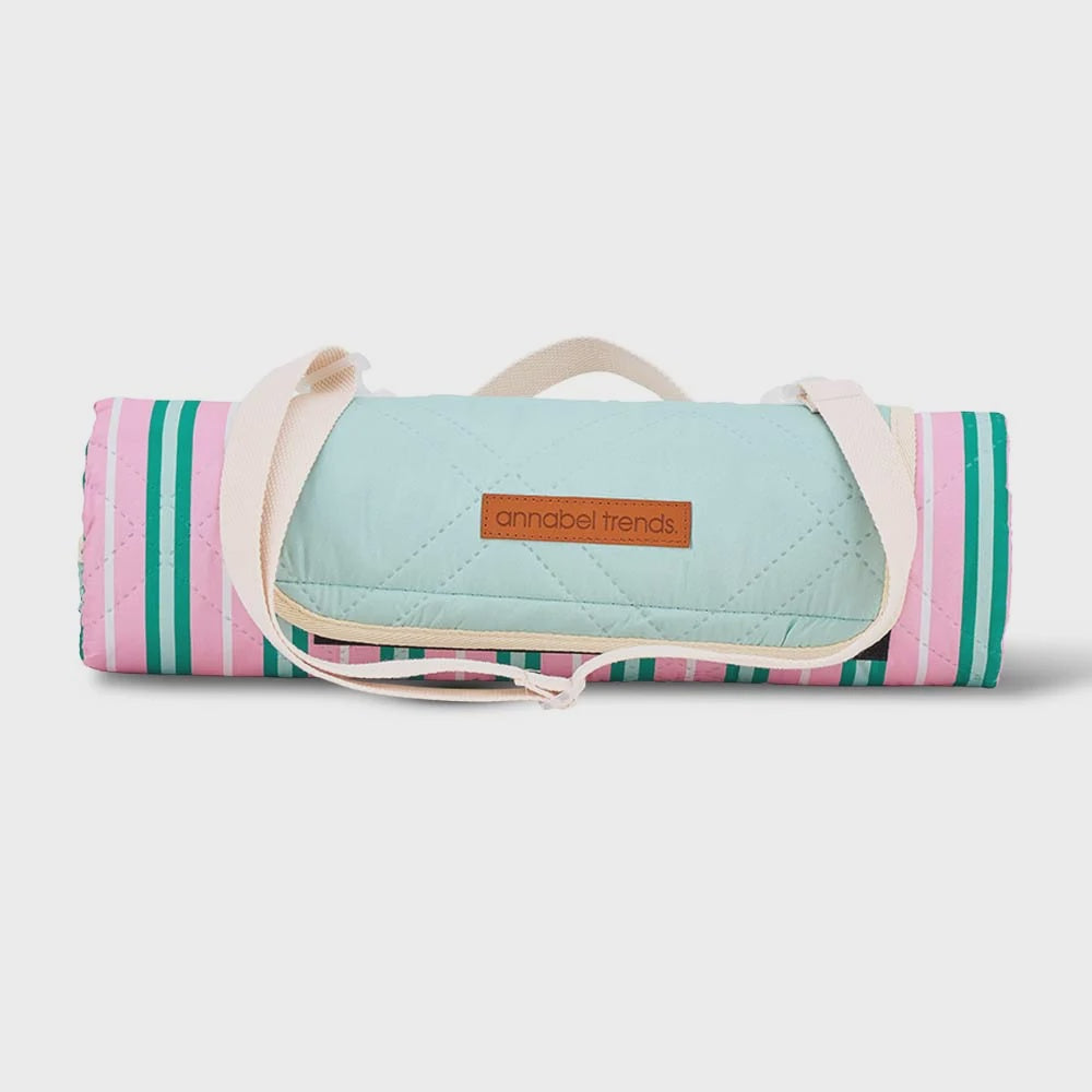 Picnic Mat - Pink &amp; Green Stripe