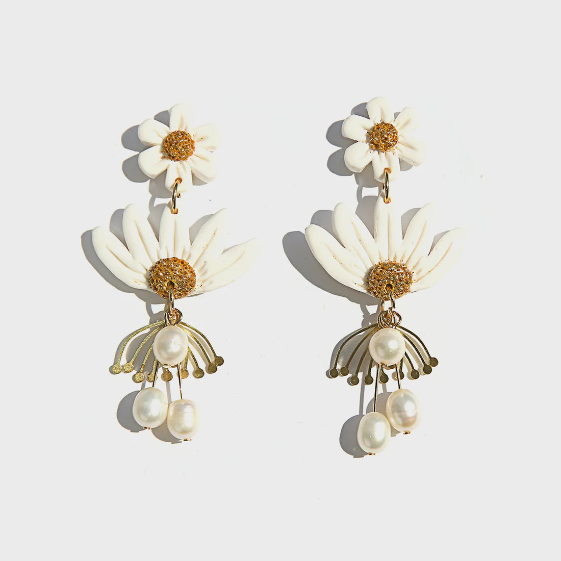 White Daisy Blossoms