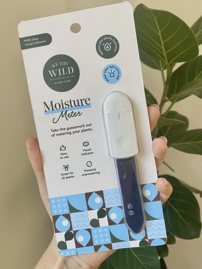 Moisture Meter