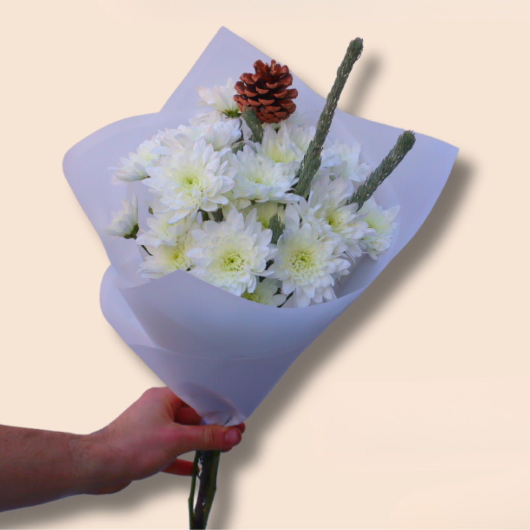 Snow Cone Chrysanthemum Bunch - PREORDER