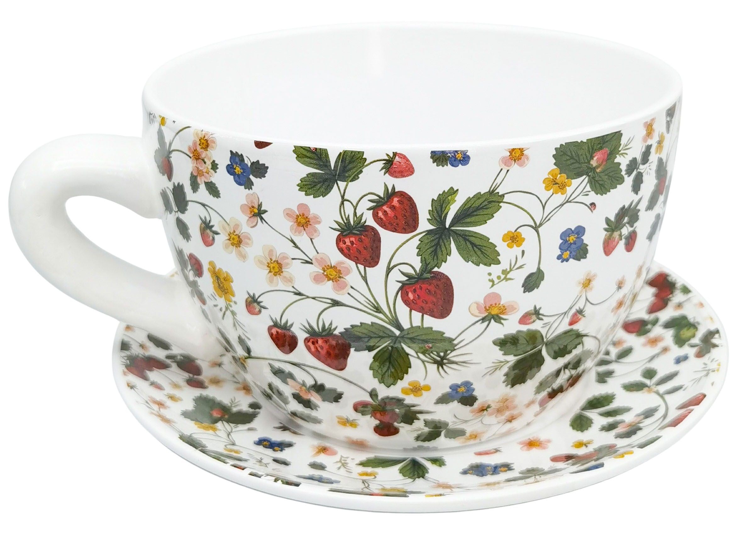 Strawberry Fields Tea Cup Planter