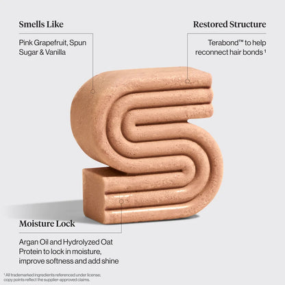 Argan Oil Shampoo &amp; Conditioner Bars