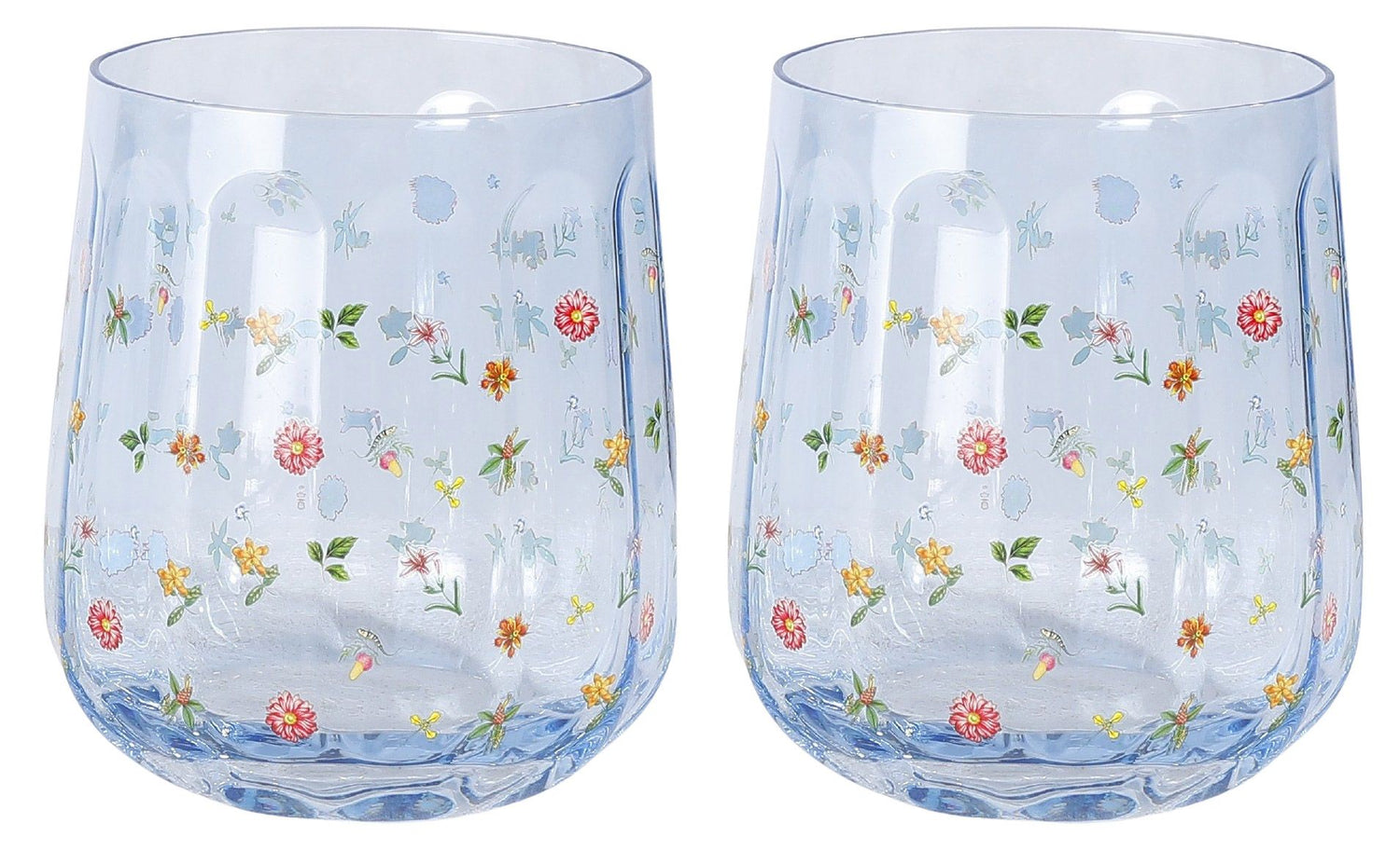 Botanicals Glass Tumbler Set of 2