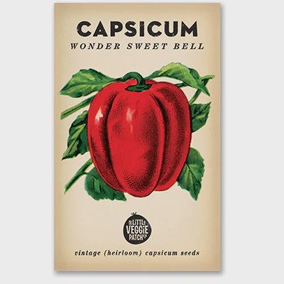 Capsicum &