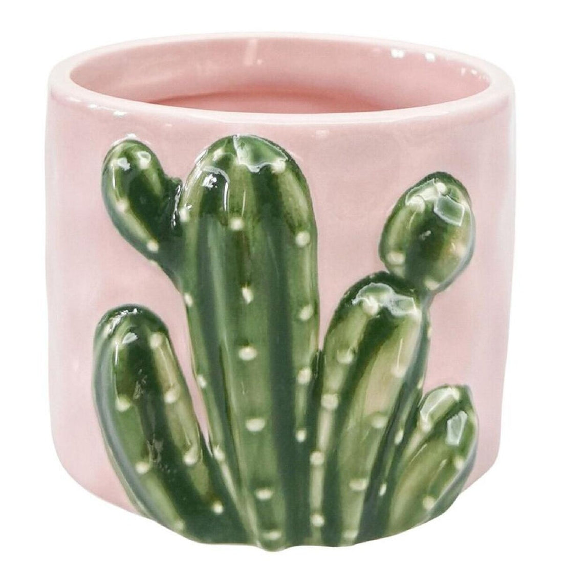 Cactus Planter 9cm