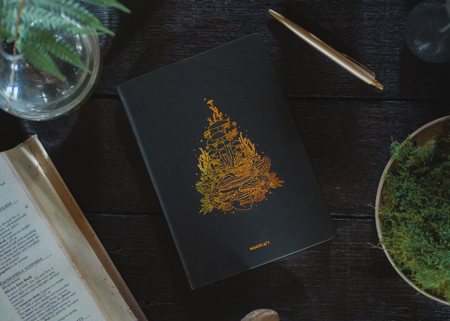 Magic Of I A5 Journal - Earthly Delights Black
