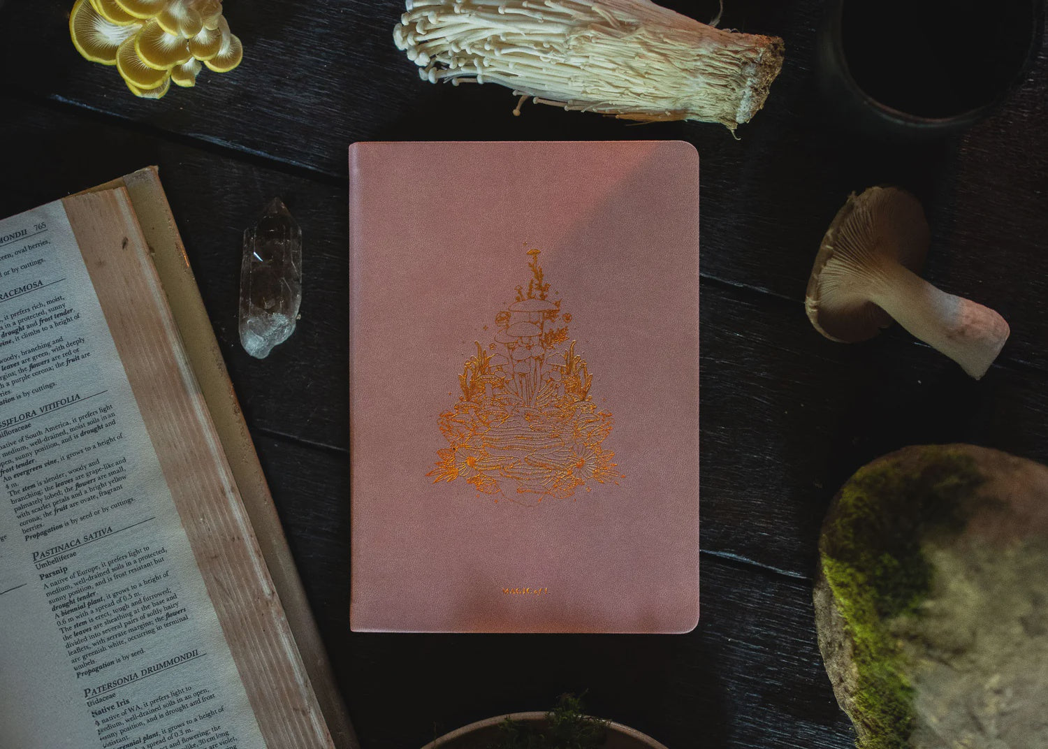 Magic Of I A5 Journal - Earthly Delights Mushroom