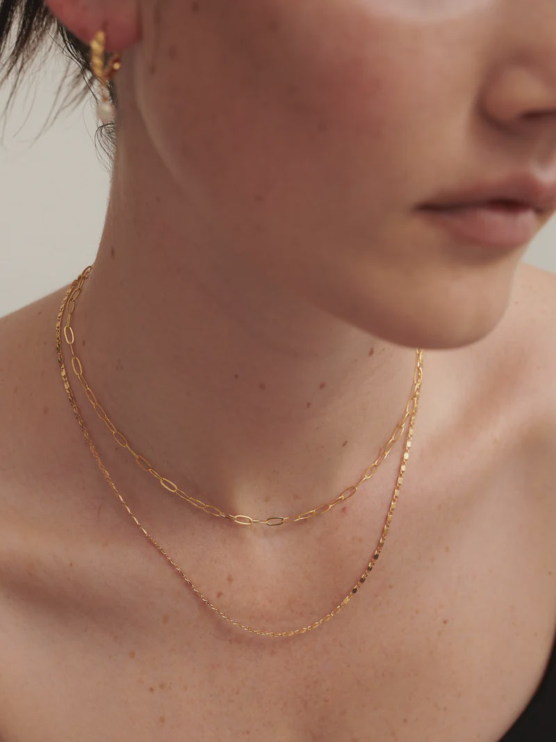 Fine Layered Necklace