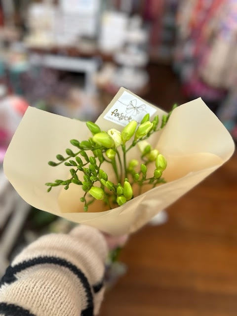 Freesia Posy