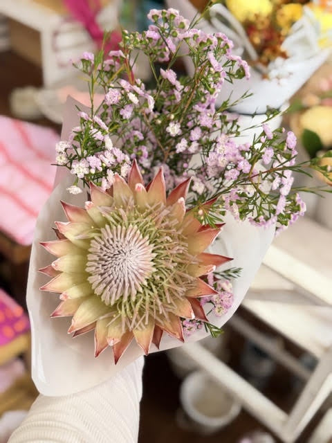 King Protea &amp; Wax Bouquet