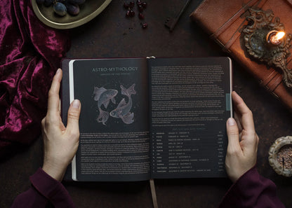 2027 Astrological Planner - Pomegranate Velvet